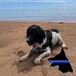 Fred Apples - @fredapples - Instagram