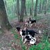 Alfred Arbogast - Facebook