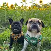Winifred and Archibald - @winifredandarchibald - TikTok