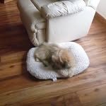 Freda Larmour - @freda.larmour - Instagram