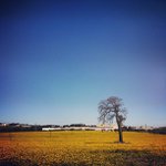 Fred Arrington - @tmlxonzool - Instagram