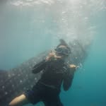 Fred Aviles - @avilesfred - Instagram