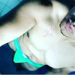 freddy ayala - @freddyayala61 - Instagram