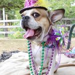 Charles Winnifred Barkley III - @charleswinnifredbarkley - Instagram