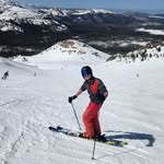Fred Baron - @fmbaia - Instagram