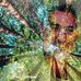 Fred Barreau Paysage - Facebook