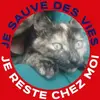 fredbarreau875 - @fredbarreau875 - TikTok