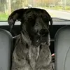 Barry Fred - @barry.fred17 - TikTok