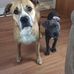Fred Baumann - Facebook