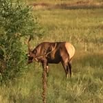 Fred Bautista - @fredbautista8339 - Instagram