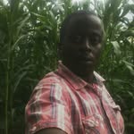 fredbayness - @fredbayness7 - Instagram