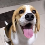 Fred - @obeaglefred - Instagram