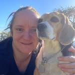 Fred (Paula Rigato) - @fred_beagle1 - Instagram