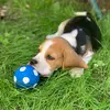 freddi - @freddi.the.beagle - TikTok