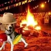 Freddie o beagle🤍 - @freddie.o.beagle - TikTok