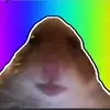 Freddythebeagle - @freddythebeagle14 - TikTok