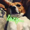 Hii - @fred.thebeagle23 - TikTok