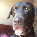 Fred Beaman - @fredtheredfred - Instagram
