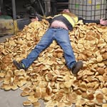 Fred Beard - @pyromaniac_bc - Instagram