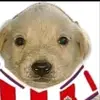 Fredbeard - @fredbeard00 - TikTok