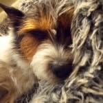 TinkerLinker2011 - @fredbeardesigns - Instagram