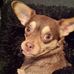 Freddie Beauchemin - Facebook