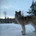 Fred Beaudry - Facebook
