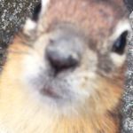 Fred Beaulieu - @fredbeaulieu2004 - Instagram