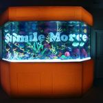 Frederic.Beaulieu0246 - @fred.beaulieu0246 - Instagram