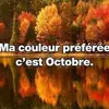 Lolo - @fred.beaulieu - TikTok