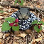 Fred Beaverton - @beavertonfred - Instagram