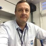 Fredi Bechtold - @fredi_bechtold - Instagram