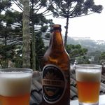 Mauro Frederico - @fredbeerartesanal - Instagram