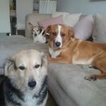 Fred Beer - @fred.beer.106 - Instagram