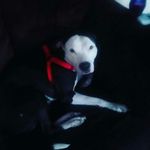 Fred Beers - @fred_beers52 - Instagram