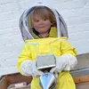 Freds bees 🐝🍯 - @fredsbees - TikTok