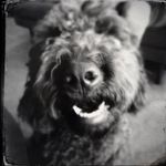 Freddy Branson - @freddy_beeson_04 - Instagram