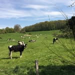 Fred Bekkers - @fredbekkers - Instagram
