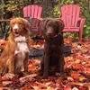 fredbergeron - @fredbergeron - TikTok