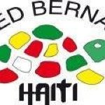 Fred Bernard - @fredbernardhaiti - Instagram