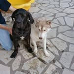 Fred Bernard - @f.b34310 - Instagram