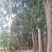 Fred Bernardo - Facebook