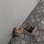 fred bernardo rocha - @fredbernardorocha - Instagram