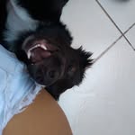 Frederico Bernardo - @_fredbernardo - Instagram