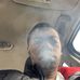 Fred Berner - Facebook
