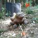 Fred Bertelmann - Facebook