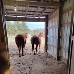Fred Beverly Greenlee - @fredbeverlygreenlee - Instagram