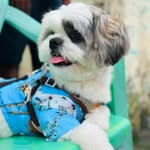Fred Bianco 🐾 - @fredbianco2023 - Instagram