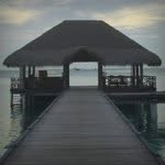 @fredbianco - Instagram