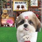 Andrea Teixeira - @_fred_bibyto - Instagram